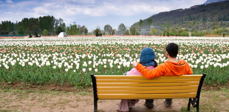 Kashmir Special Kashmir Special